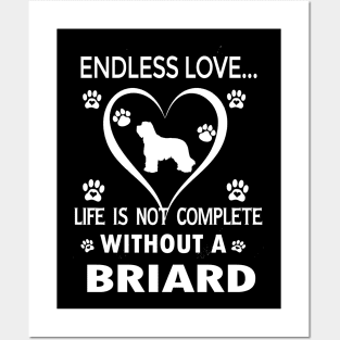 Briard Lovers Posters and Art